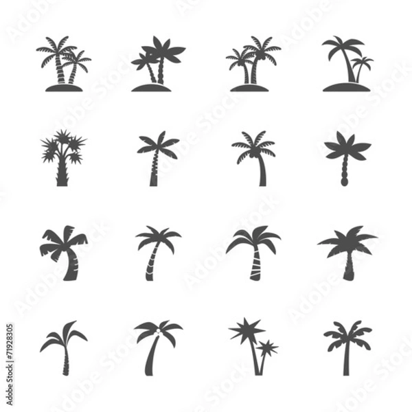 Fototapeta coconut tree icon set, vector eps10