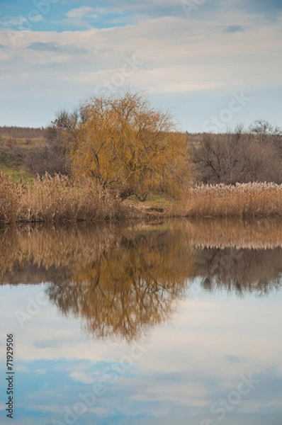 Obraz autumn landscape