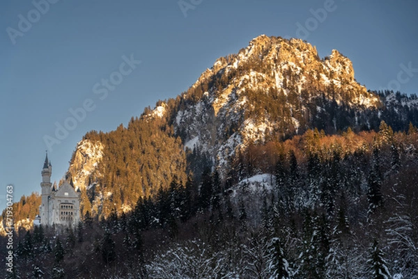 Obraz Castle Neuschwanstein in Winter