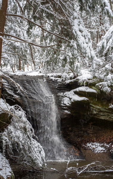 Obraz waterfall in the forest