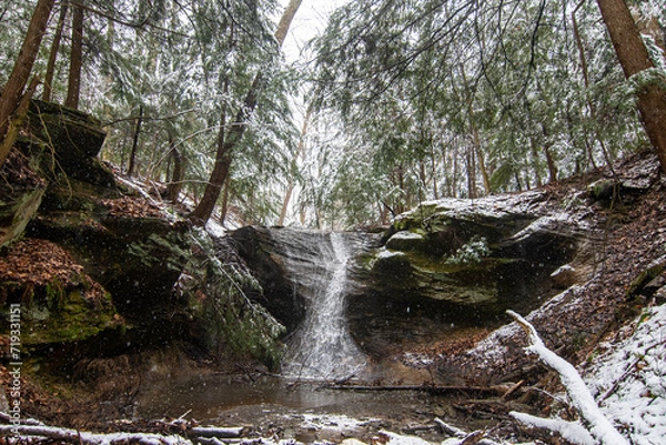 Obraz waterfall in the woods