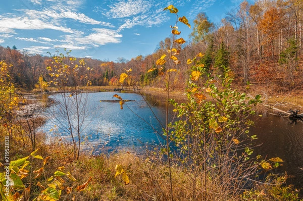 Fototapeta Northern Fall