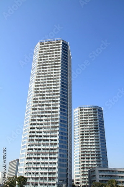 Obraz 二子玉川のタワーマンション