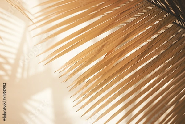 Fototapeta "Blurred Natural Palm Leaves Shadow Background on Bright Surface"

