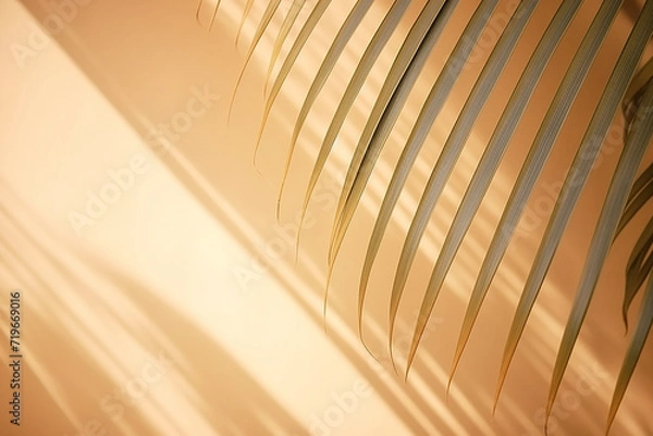 Obraz "Blurred Natural Palm Leaves Shadow Background on Bright Surface"


