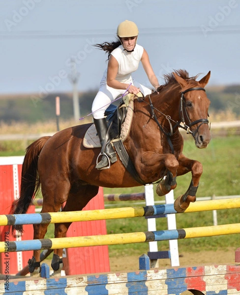 Obraz horse jumping