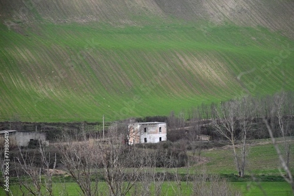 Fototapeta A dirt road leads to a two storey white and terracotta brick farmhouse and a shed. A steep green field, recently ploughed, is in the background. Bare trees are in the foreground.