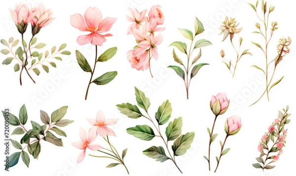 Fototapeta Watercolor pink flower object, Generative AI