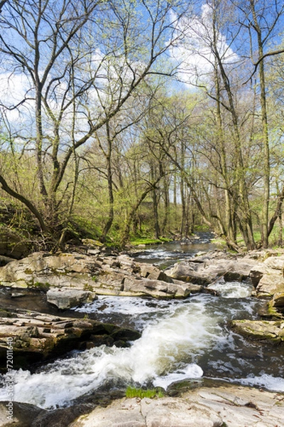 Fototapeta spring landscape with Vyrovka brook, Czech Republic