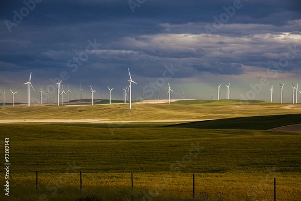 Obraz wind farm