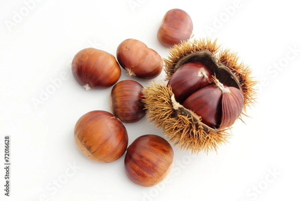 Fototapeta Des chataignes