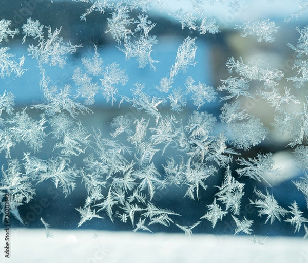 Fototapeta Closeup of beautiful snow crystal, in high Quality. very cold day