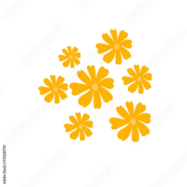 Obraz Flowers Set on White Background: Floral Vector Illustration with Yellow Blossoms. Seven yellow flower white background with different size of flowers.