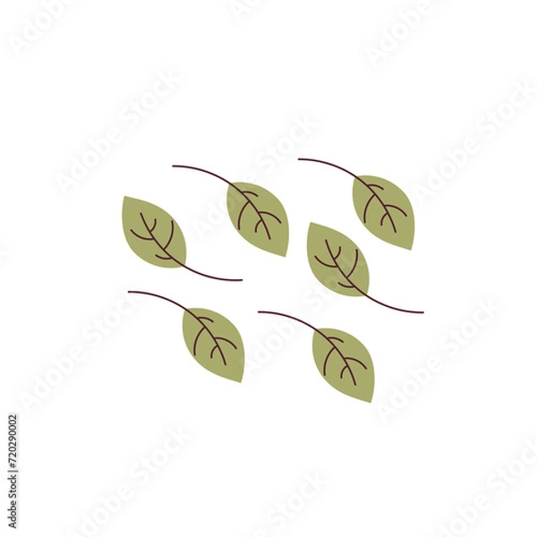 Obraz Tea Leaves Isolated on White Background with Green Leaf Vector Illustration.