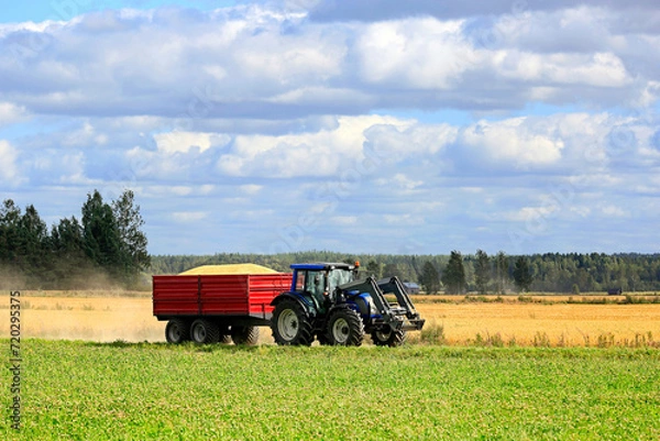 Obraz Rural Landsape with Tractor Hauling Load of Harvested Grain. Copy space for your text. 