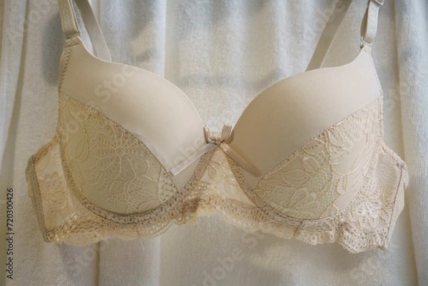 Obraz Beige floral bra. 
