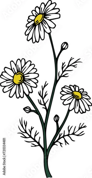 Obraz 花（Flower）