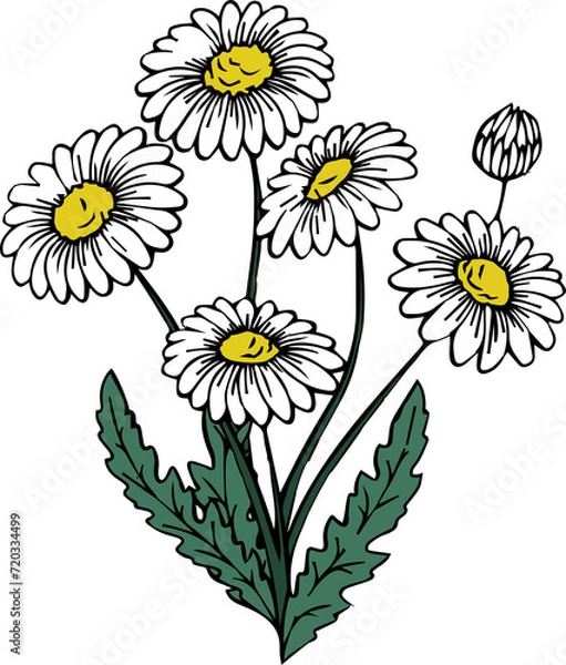 Obraz 花（Flower）