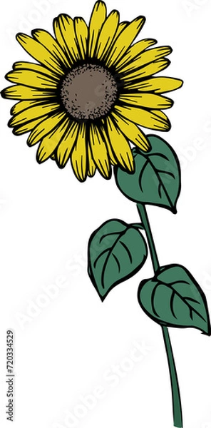 Obraz 花（Flower）