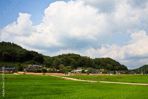 Fototapeta 닭실마을