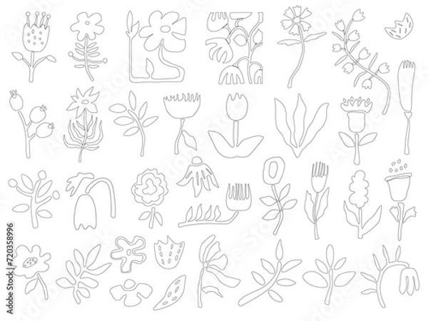 Obraz A set of vector illustrations with doodle-style flowers. A collection of flowers and a hand-drawn clipart.Design of stickers, social networks, packaging, Internet, postcards, posters