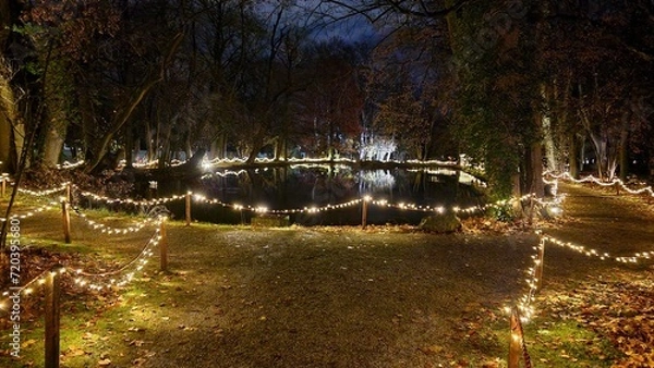 Obraz Regensburg at night
