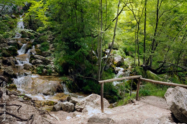 Obraz Wanderweg im Naturreservat 