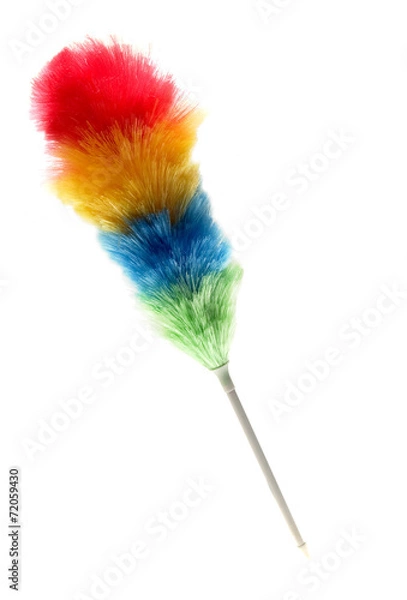 Obraz Prochowiec z piór