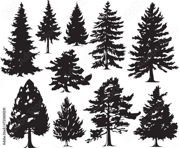Fototapeta Conifer set.  Hand drawn vector illustration