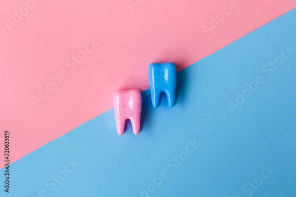 Fototapeta Tooth model on a blue and pink background. Dental concept. Flat lay, copy space for text. Dentistry. Place for text. Oral health and dental examination. Dentistry. Valentines day