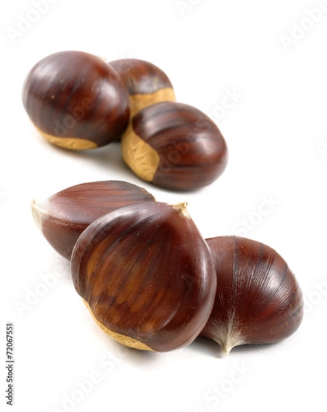 Obraz chestnuts on white background