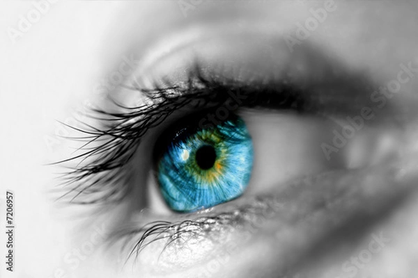 Obraz blue eye