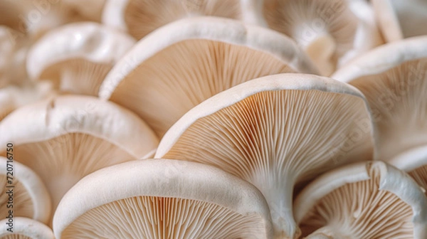 Fototapeta Enchanted Forest Delicacies: A Captivating Close-Up of a Colorful Cluster of Wild Mushrooms