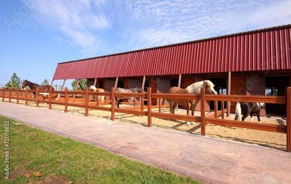 Obraz Riding Center