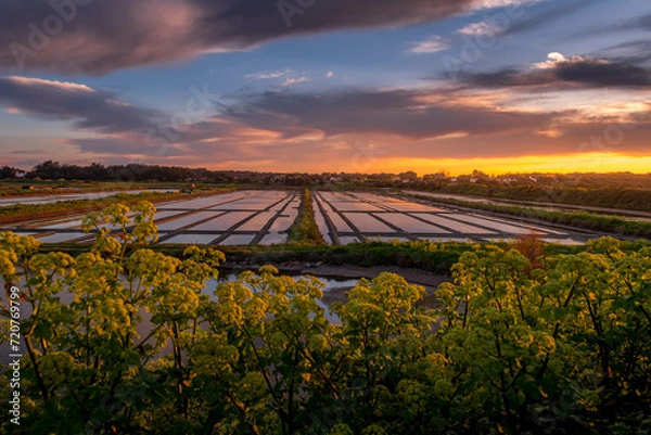 Obraz paysage noirmoutier