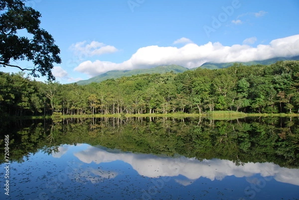 Fototapeta 知床湖