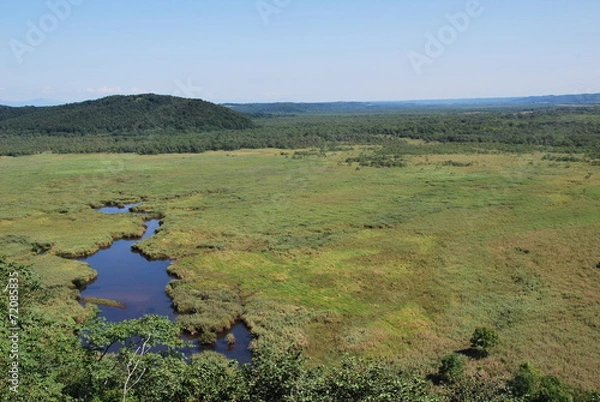 Fototapeta 湿原の湖