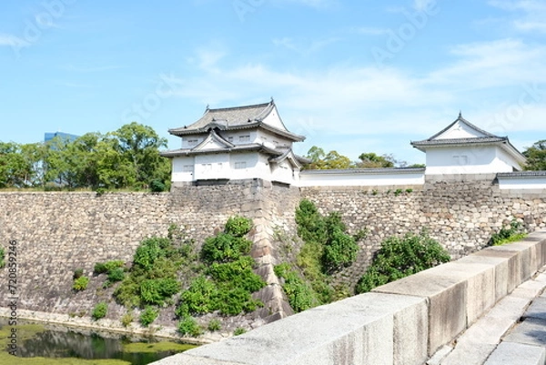Fototapeta Osaka Castle - Outer Wall