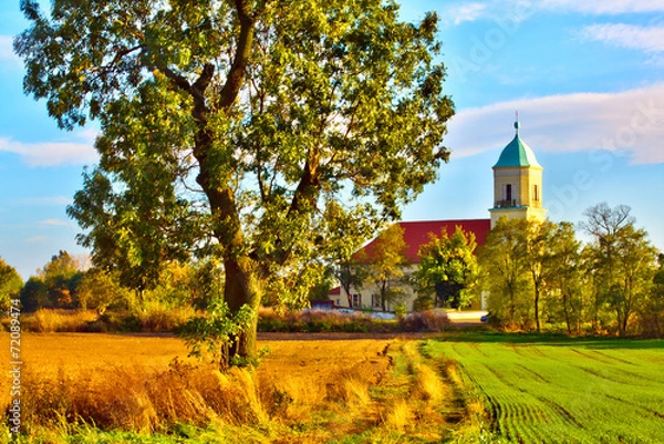 Obraz Typical Polish landscape