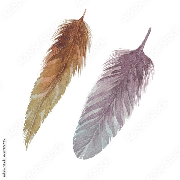 Obraz watercolor illustration of golden and pearlescent bird feathers, hand drawn on white background
