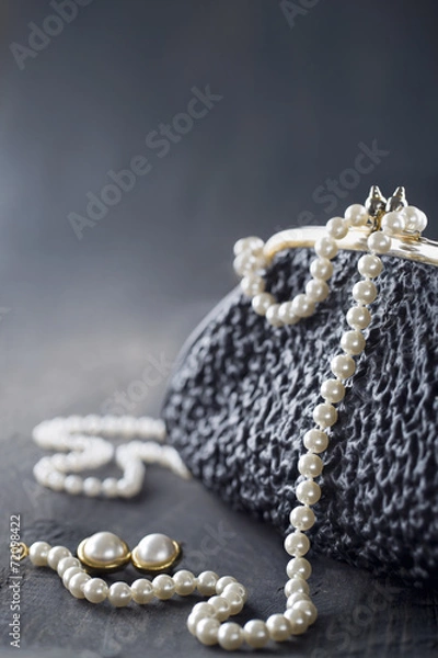 Obraz Old elegant vintage handbag