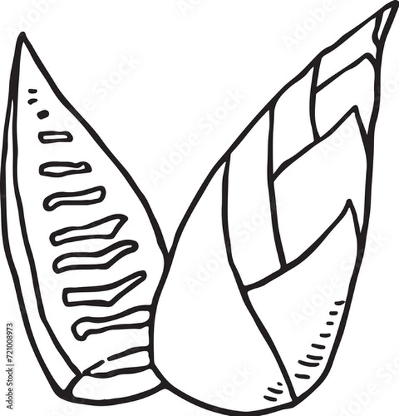 Obraz タケノコ線画