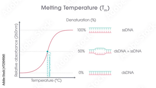 Obraz DNA Melting Temperature genome sciences graphic 