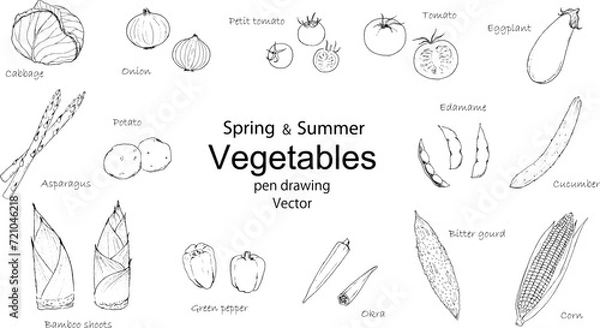 Fototapeta 春と夏の野菜のペン画セット