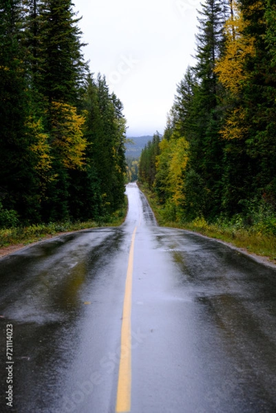 Obraz Rainy Road through Wells Gray Provincial Park: A yellow line guides through the wet wilderness, weaving amidst towering trees in a tranquil forest journey. BC, Canada, October 2021
