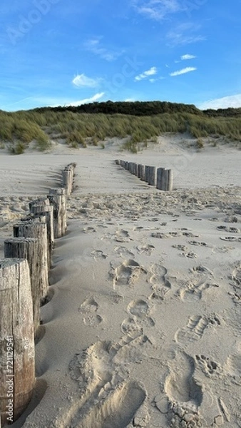 Obraz sand dunes and beach