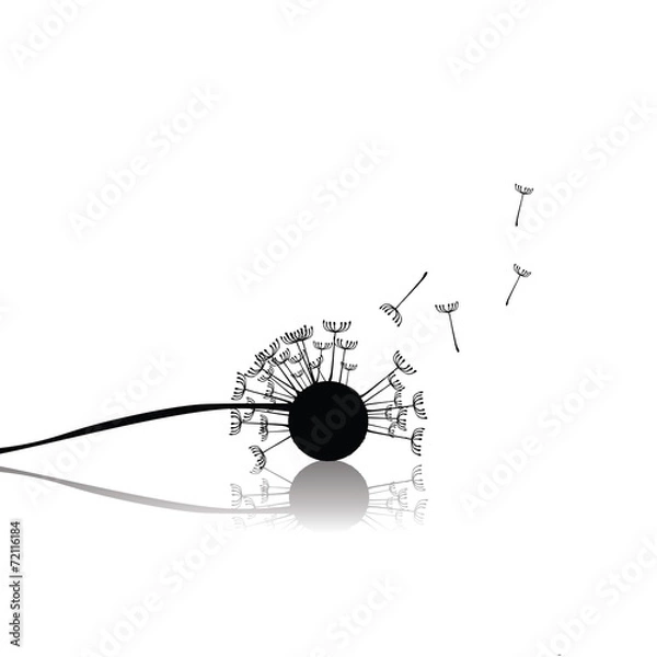 Fototapeta Dandelion