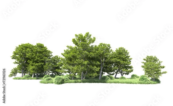 Fototapeta Green forest isolated on background. 3d rendering - illustration