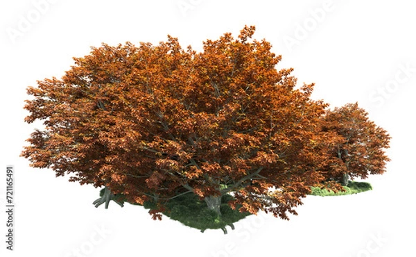 Obraz Green forest isolated on background. 3d rendering - illustration