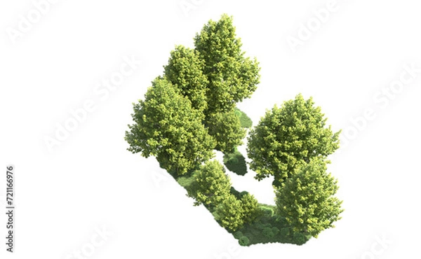 Fototapeta Green forest isolated on background. 3d rendering - illustration